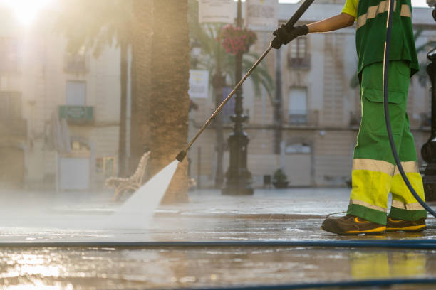 Best Solar Panel Cleaning  in Meadow Oaks, FL